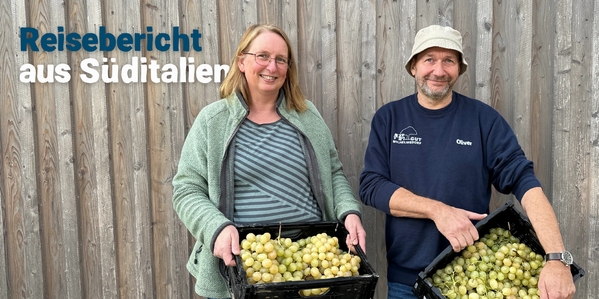 Frau und Mann mit Kisten gefüllt mit Trauben - Reisebericht aus Süditalien Gut Wilhelmsdorf Biokiste