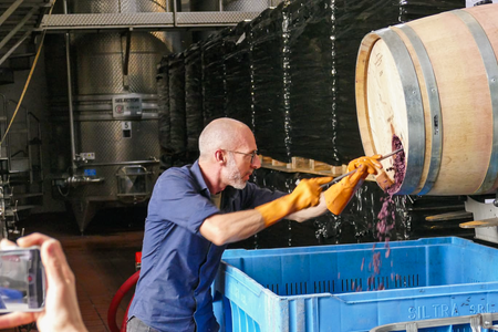Ein Winzer mit kurzem weißem Harr und Bart entleert den Inhalt enes Weinfasses in eine blaue Tonne in einer Weinkellerei.