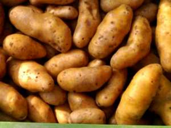 Produktfoto zu Kartoffeln, 2,5 kg