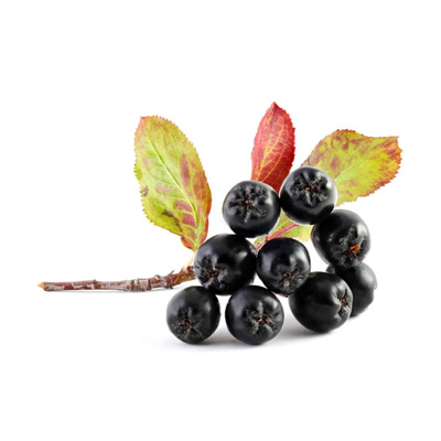 Produktfoto zu Aroniabeeren, 250g
