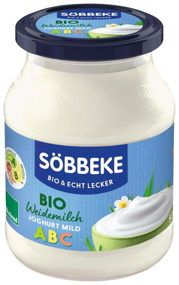 Produktfoto zu 6x ABC Ferment Aktiv Pur Joghurt, 3,8% (VPE)