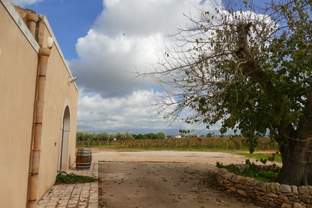 Ein ländliches Gebäude im erdigen Beige verputzt, ein Holzfass steht an der Wand, ein großer Baum steht auf dem Hof vor dem Gebäude und Hintergrund erstreckt sich flach ein Weinberg unter blauem Himmel.