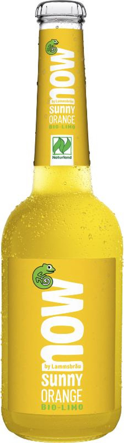 Produktfoto zu now - Sunny Orange 10x0,33l