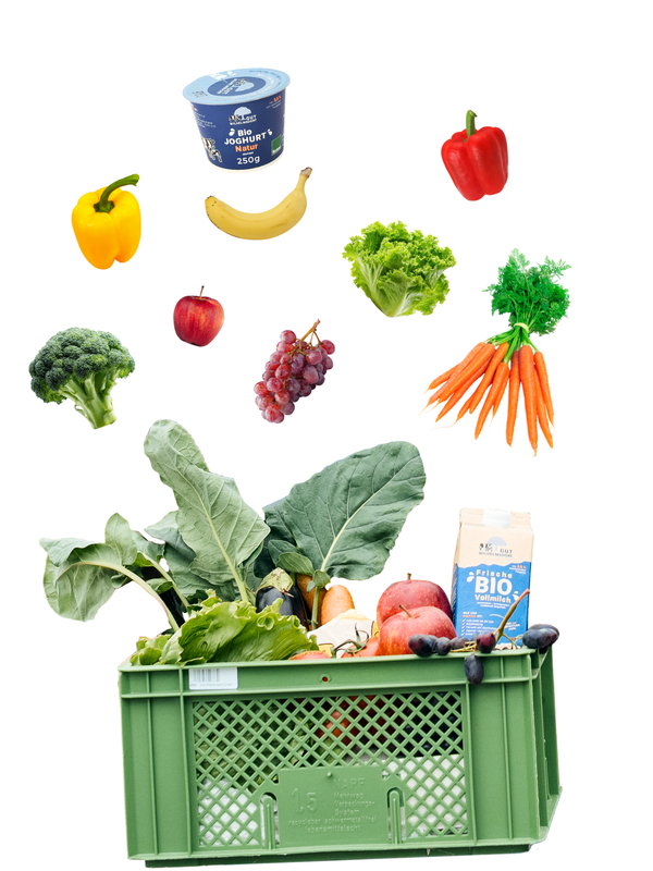 KI generiert: Eine grüne Kiste voller Obst, Gemüse und Milchprodukte, darunter Karotten und Joghurt.