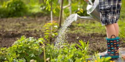 Wilhelmsdorfer Gärtchen Selbsterntegarten Ernteacker Biohof Gut Wilhelmsdorf