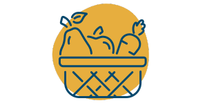 Auswahl Sortiment Obstkorb Biobüroobst Bio-Büroobst Obstkorb Biokiste Lieferdienst Biohof Gut Wilhelmsdorf