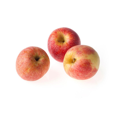 Produktfoto zu Apfel, Gala