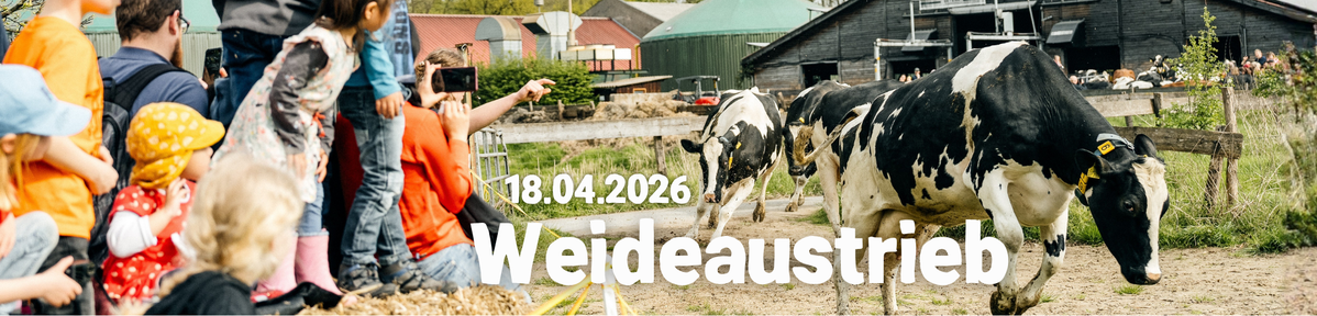 KI generiert: Kühe laufen auf einer Weide, Zuschauer beobachten; Text: "18.04.2026 Weideaustrieb".