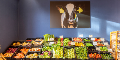 Hofladen Gut Wilhelmsdorf regional einkaufen