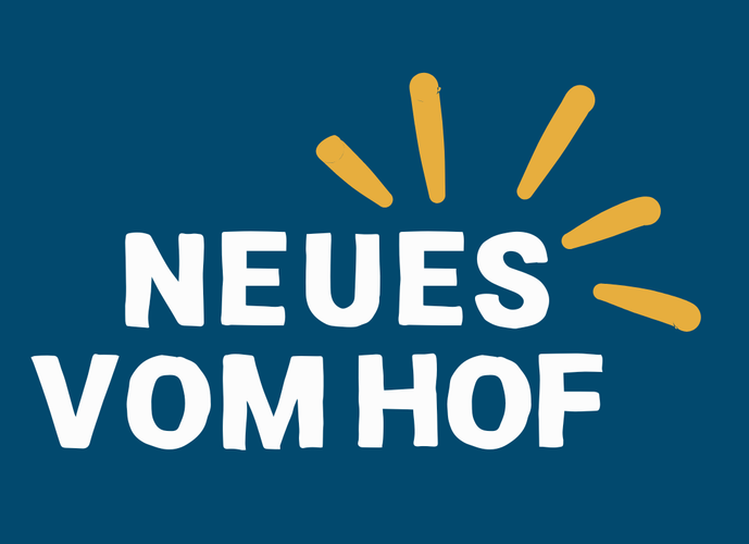KI generiert: Blauer Hintergrund mit Text: "NEUES VOM HOF" und gelben, strahlenartigen Linien darüber.