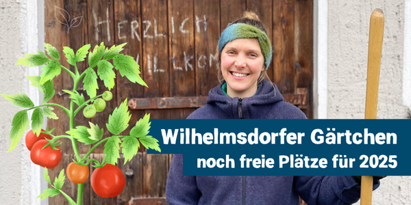 KI generiert: Das Bild zeigt eine lächelnde Person, die einen Besen hält, vor einer Holztür mit der Aufschrift "Herzlich Willkommen". Daneben sind ein Tomatenstrauch und ein Textbanner mit der Ankündigung für freie Plätze im "Wilhlemdorfer Gärtchen" im Jahr 2025 zu sehen.