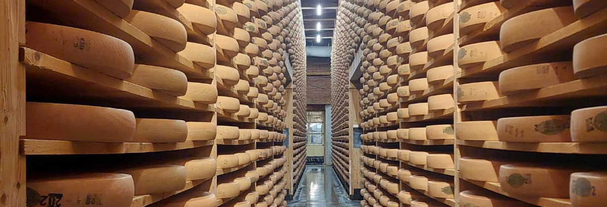 Käselaibe in Reiferegalen