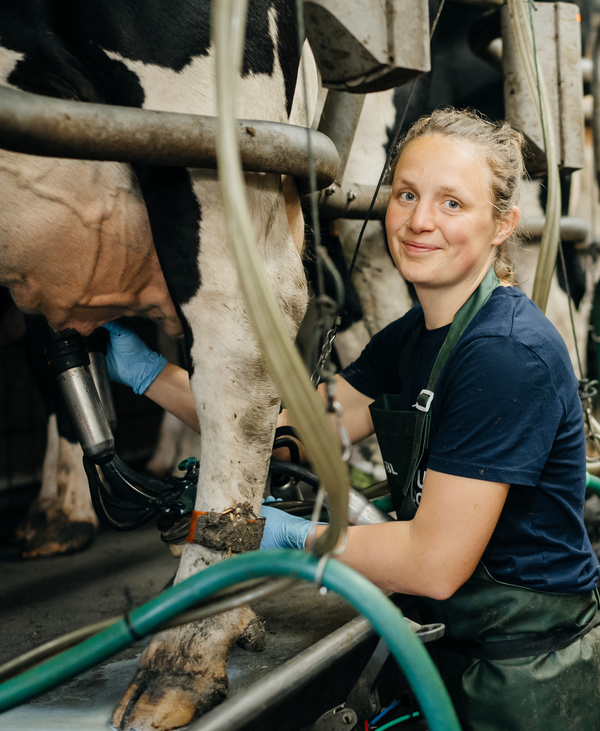 Job Stellenangebot Biokiste Lieferdienst Auslieferung Biohof Gut Wilhelmsdorf