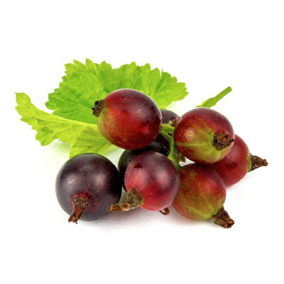 Produktfoto zu Jostabeeren, 250g