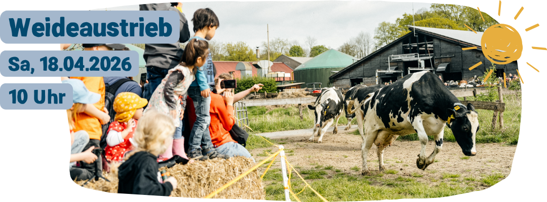 KI generiert: Das Bild zeigt Kühe, die von einem Hof auf eine Weide geführt werden. Es handelt sich um ein Event mit dem Titel "Weideaustrieb" am 12. April 2025 um 10 Uhr.