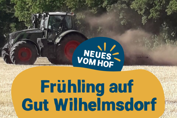 KI generiert: Ein Traktor pflügt ein Feld. Text: "Frühling auf Gut Wilhelmsdorf. NEUES VOM HOF."