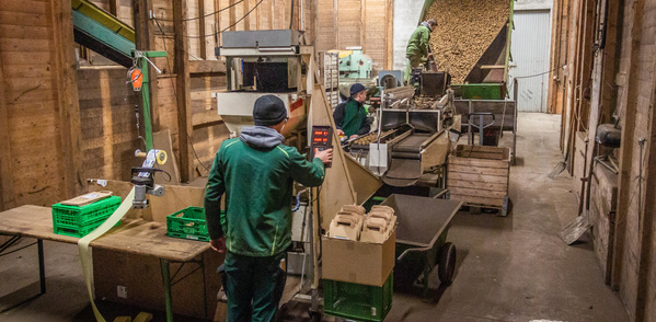 KI generiert: Mitarbeiter in einer Fabrikhalle arbeiten an Maschinen und sortieren Produkte in Kisten.