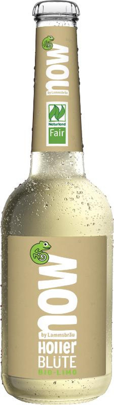 Produktfoto zu now - Holler Blüte 10x0,33l