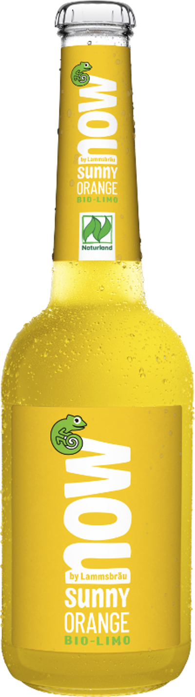 Produktfoto zu now - Sunny Orange 10x0,33l