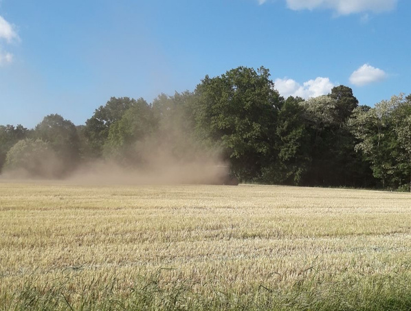 KI generiert: Ein Staub wirbelnder Mähdrescher fährt über ein Feld vor einem Wald.