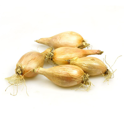 Produktfoto zu Schalotten neue Ernte