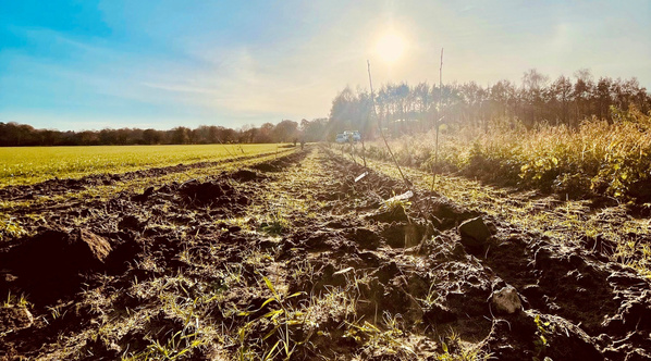 KI generiert: Ein frisch gepflügtes Feld unter strahlender Sonne, Bäume im Hintergrund.