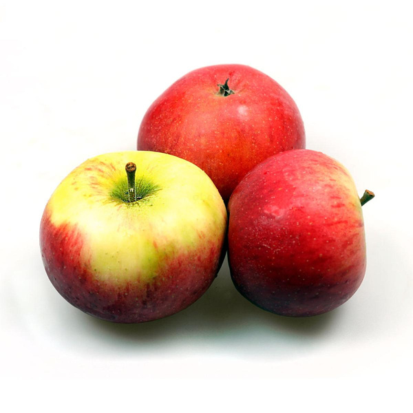 Produktfoto zu Apfel, Pilot