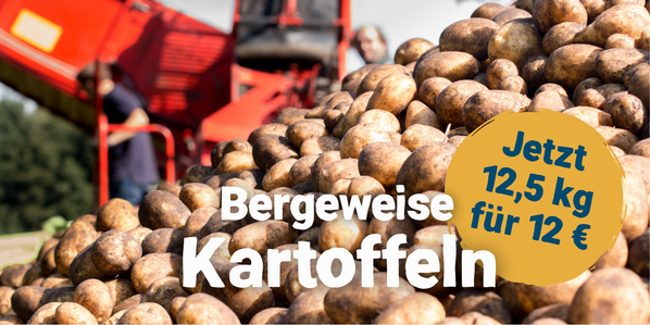 KI generiert: Berge von Kartoffeln mit Angebotstext: "Bergeweise Kartoffeln. Jetzt 12,5 kg für 12 €".